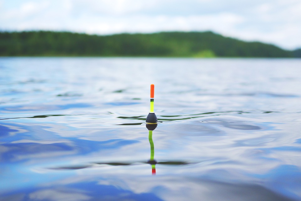 Novice Anglers Need These Discount Fishing Tackle