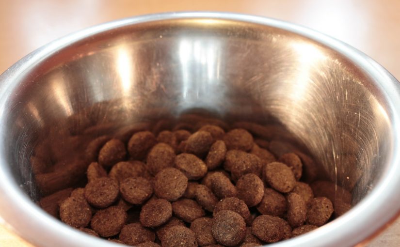 Why You Should Give Your Dog Natural Treats