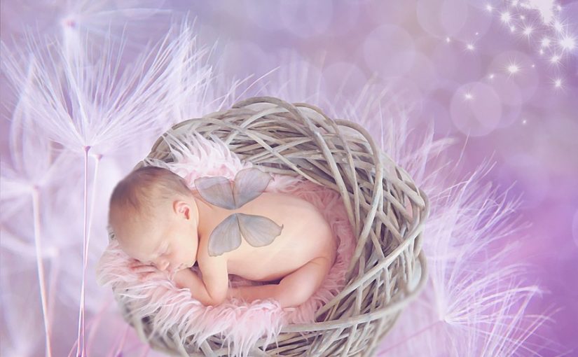 What To Look For In A Baby Girl Nest