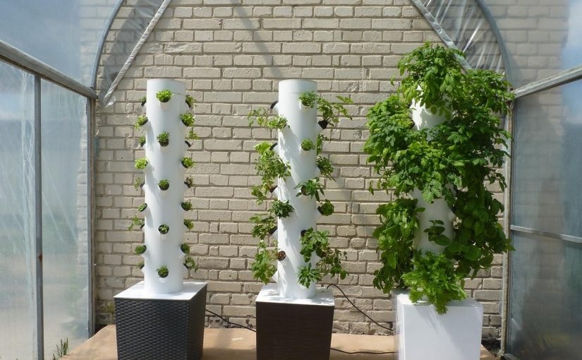 AeroGarden Indoor Gardening System