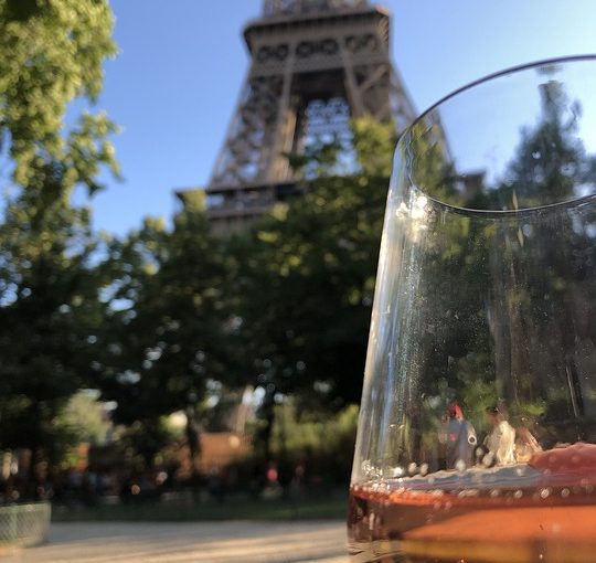 Burgundy Tour From Paris For Wine Enthusiasts