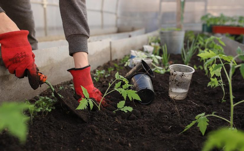 The Benefits Of Using Bulk Soil San Diego For Planting