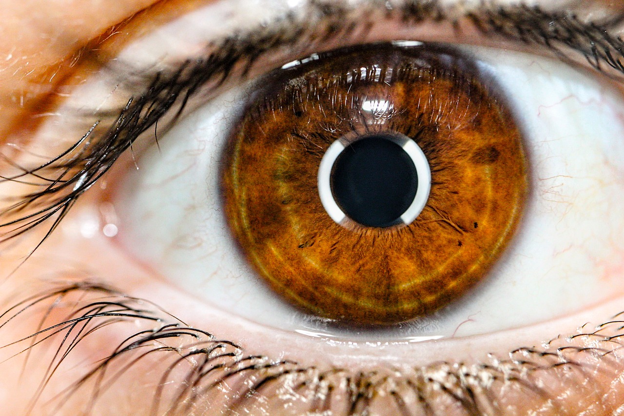 Exploring the Different Colors of Eye Contacts