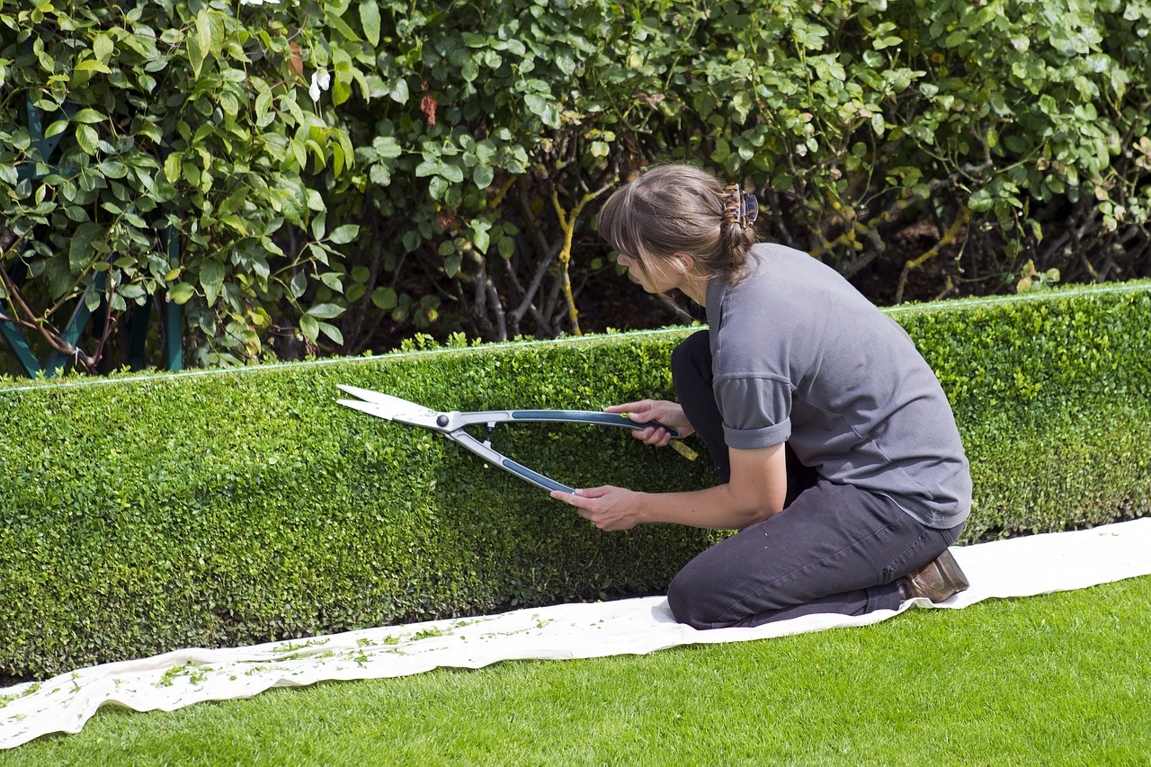 Pruning Your Hedges to Keep Your Garden Looking Its Best