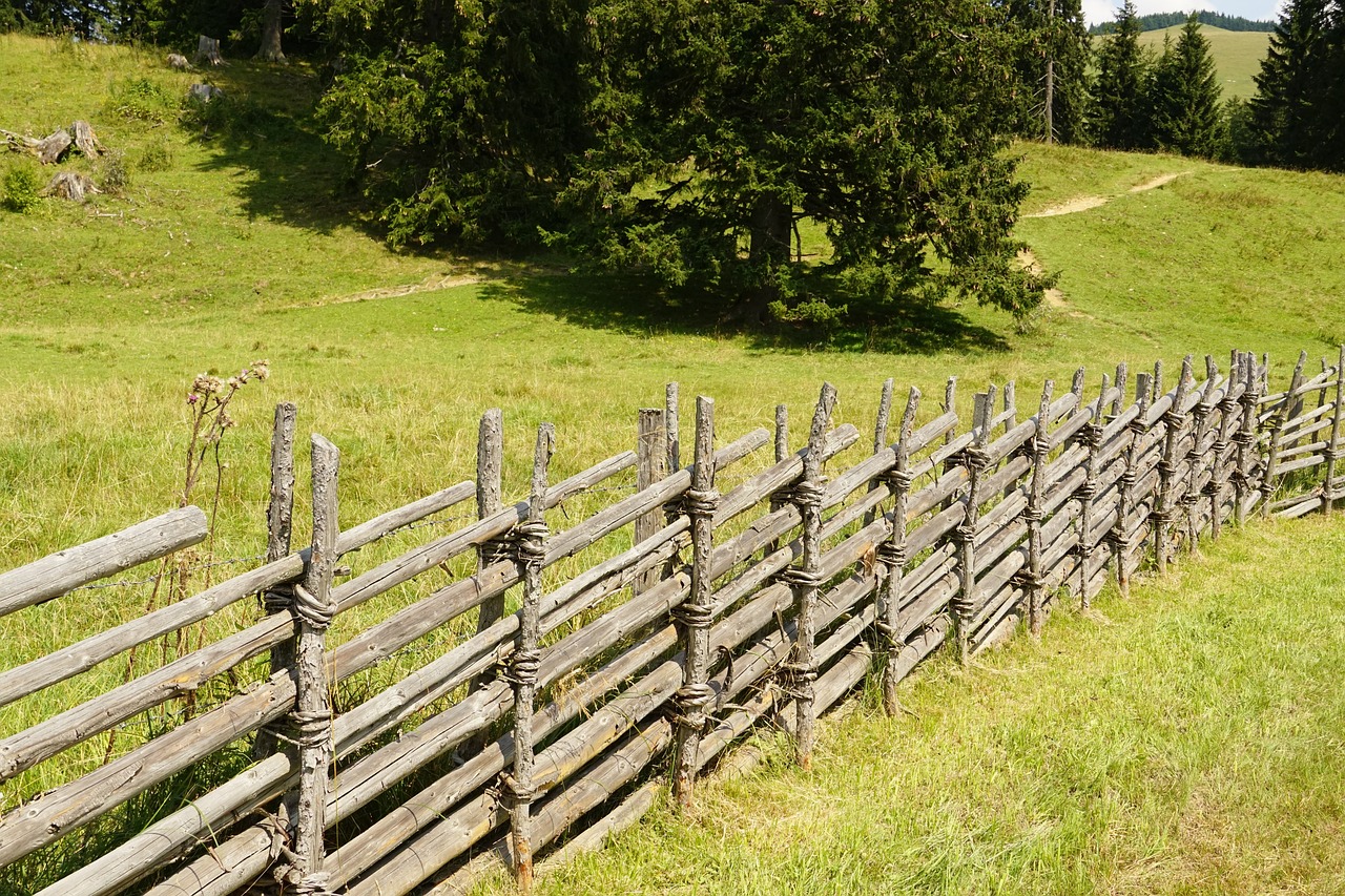 Rural Fencing: Keeping Your Livestock Safe