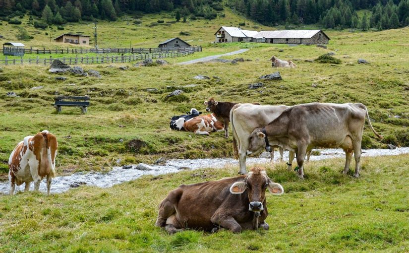 Protect Your Farm with Proper Fencing