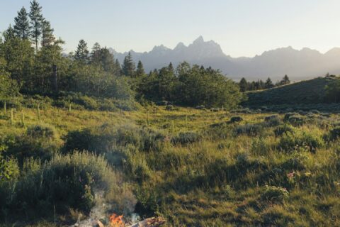 a campfire in a field with mountains in the background